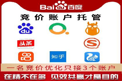 某电商平台的SEM关键词策略及成效分析